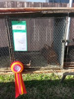 /album/fotogalerie-nase-vystavy-zo-csch-bakov/a20150830-095224-jpg/