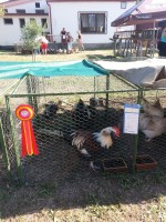 /album/fotogalerie-nase-vystavy-zo-csch-bakov/a20150830-095234-jpg/